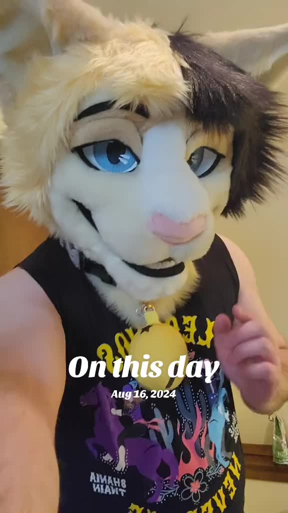 @ThiccMeowboi