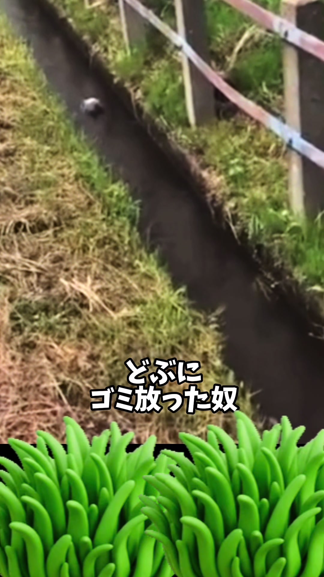 @やけっぱちcomedy改🥑【 TikTok】