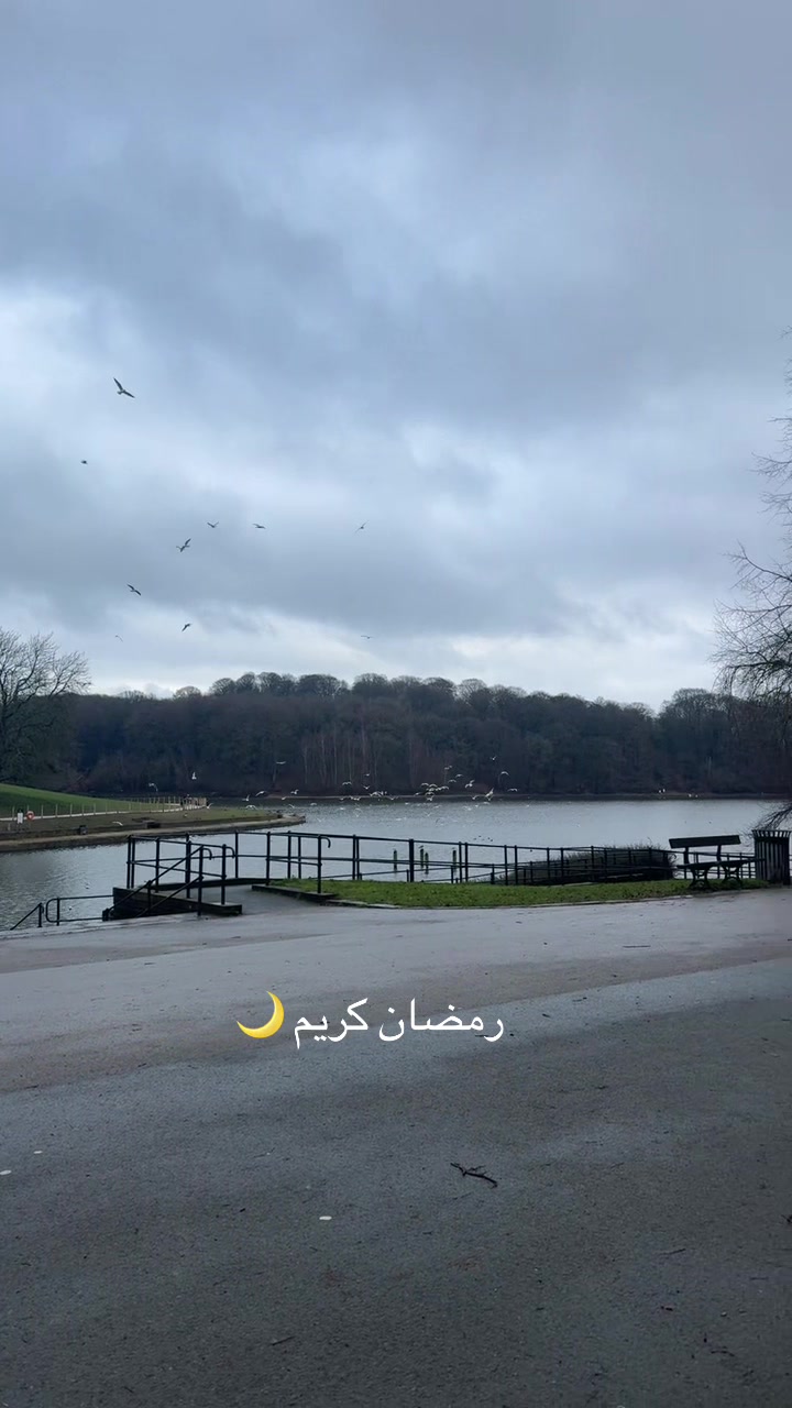 @تغطيات سارة 🛍