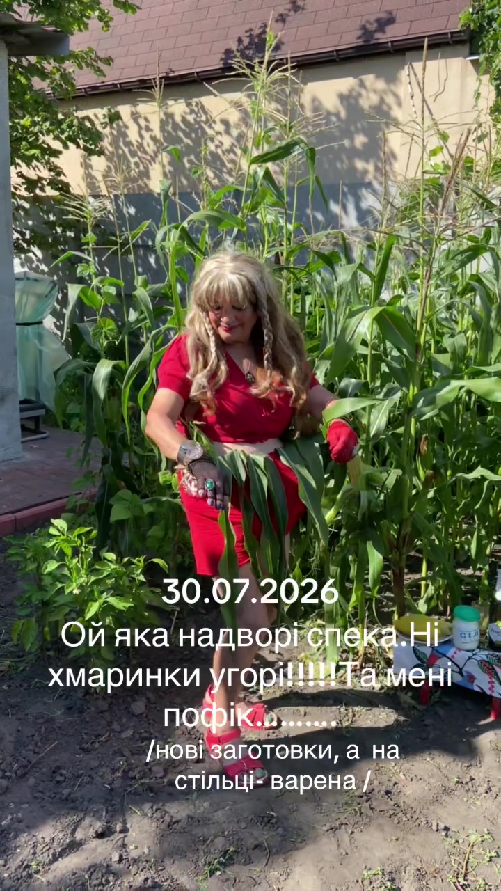 @anidor44