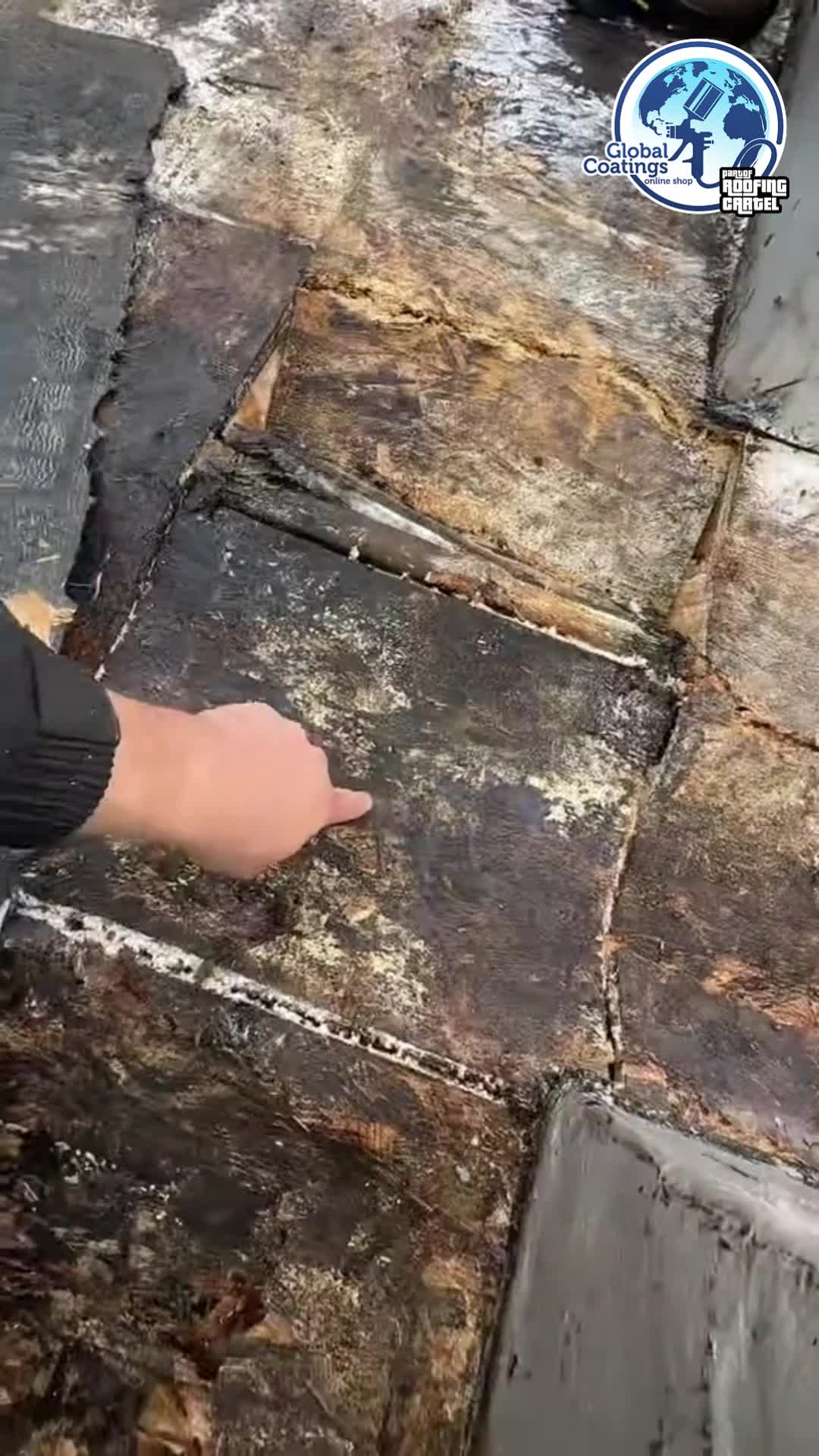 @Global Coatings/Roofing