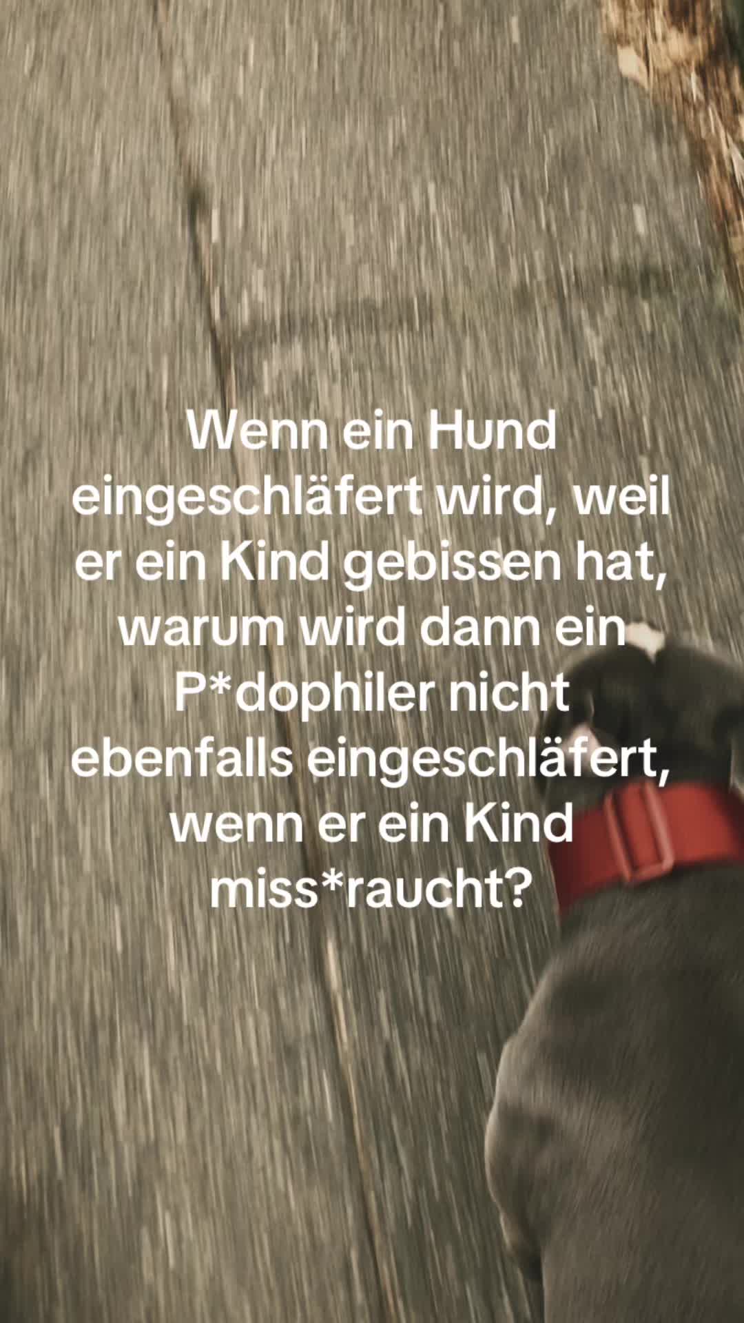 @MeinHundIstKeinVerbrecher