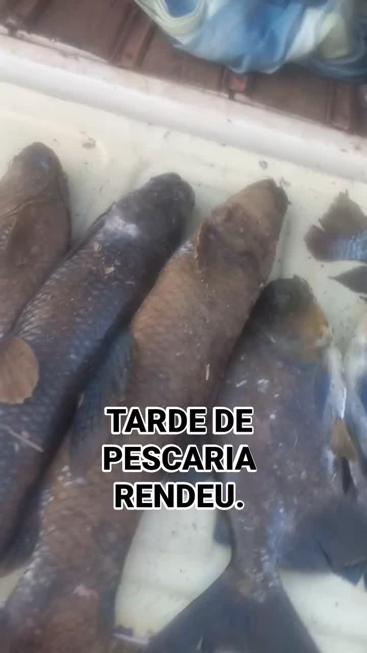@RICARDO SILVA(GOIANO) 5151