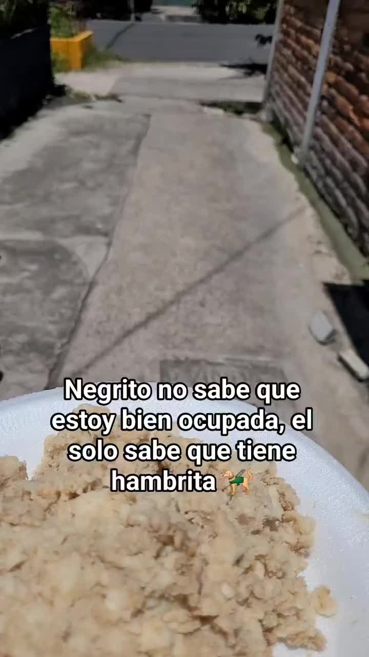 @𝕃𝕚𝕤𝕤 ℝ𝕖yes🇸🇻