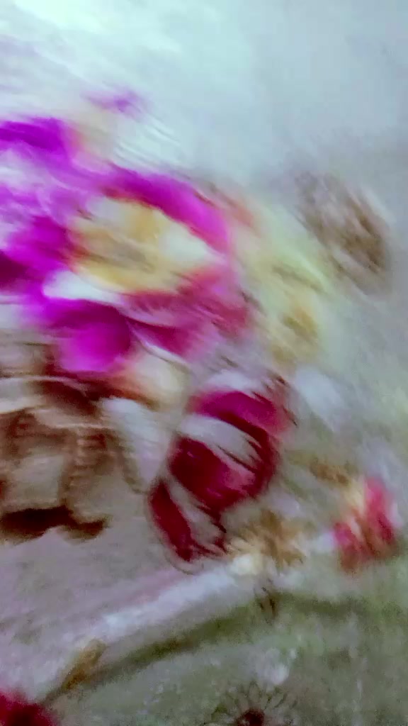 @đĨ°āϰāĻžāĻāĻŦāĻžā§āĻŋ āĻŦā§ āĻā§āϞ⧠,, āĻāϞāĻŽāĻā§āϰ
