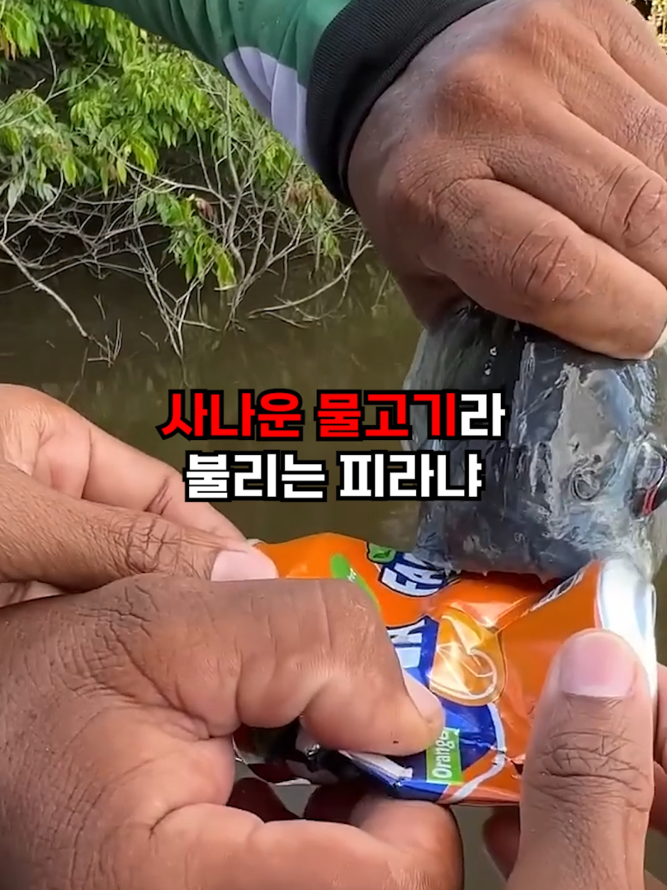 @뚝딱 상식 뚝배기