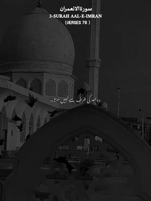 @ꜛ-ɪϻ̈̐꧊ꝛ̴ᴀɴ-ꜜ