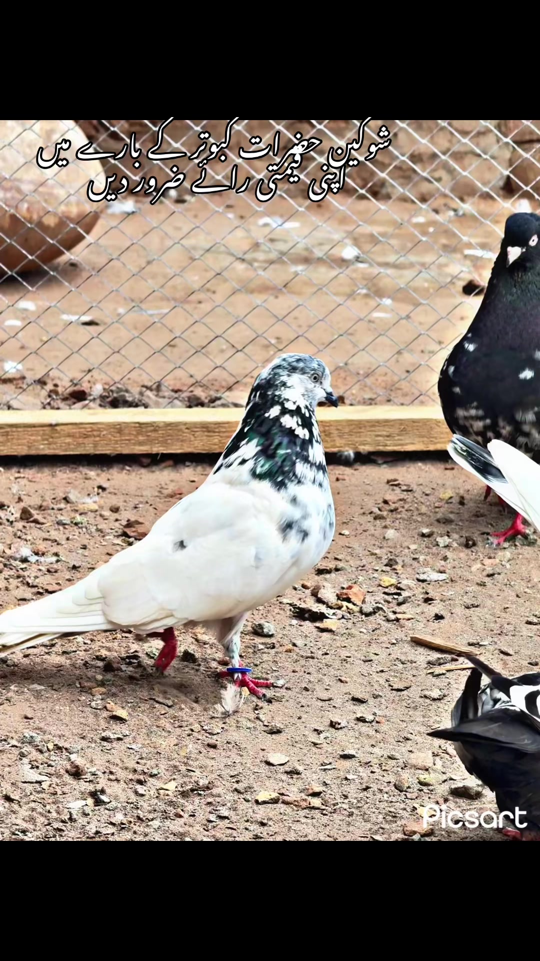 @شوق 🫀