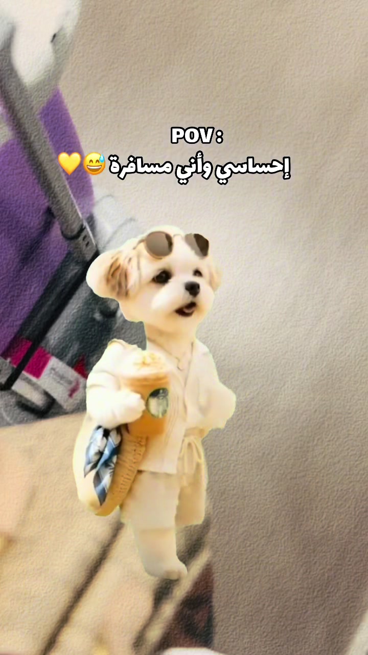 @﮼مودةالشویشین 𓄂
