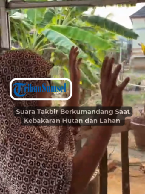 @Tribun Sumsel