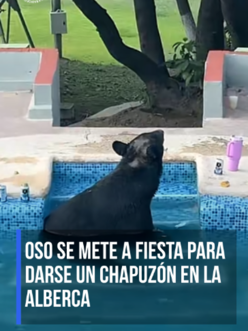 @Radio Fórmula