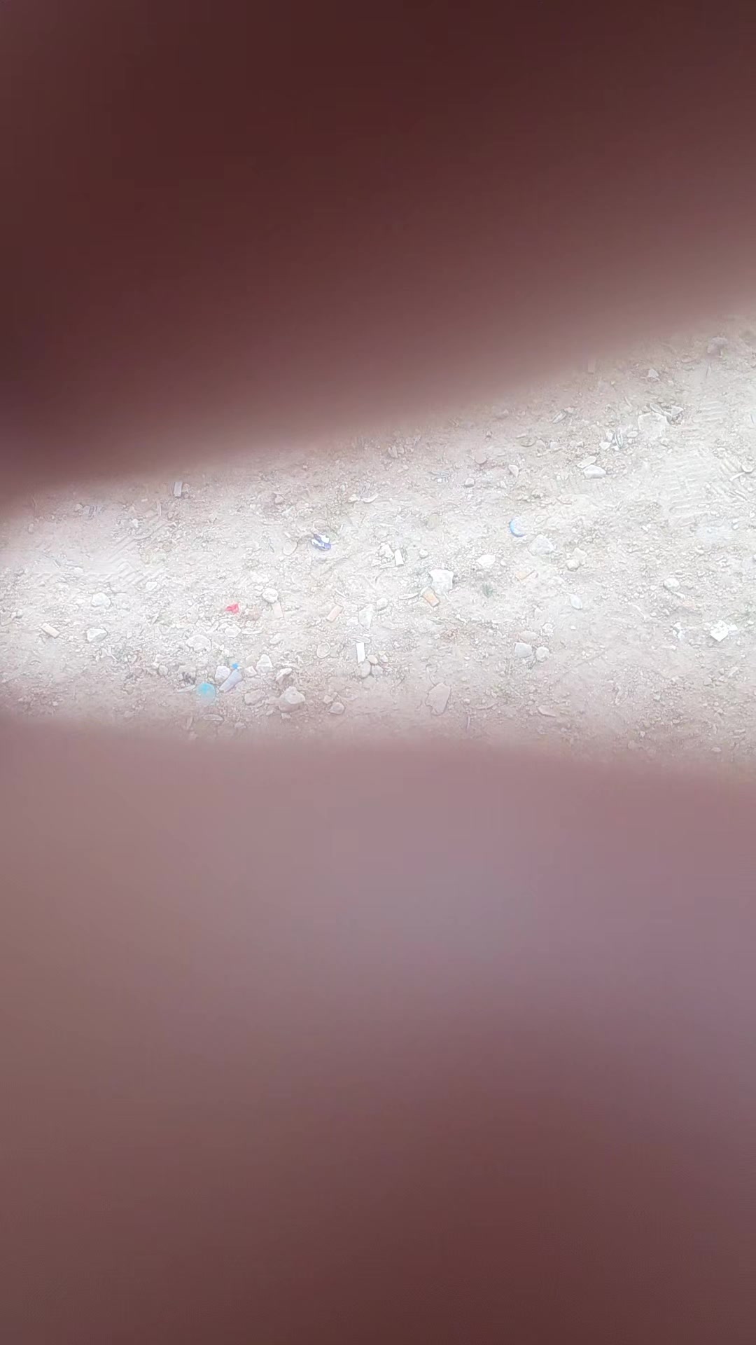 @رامي تبرنه