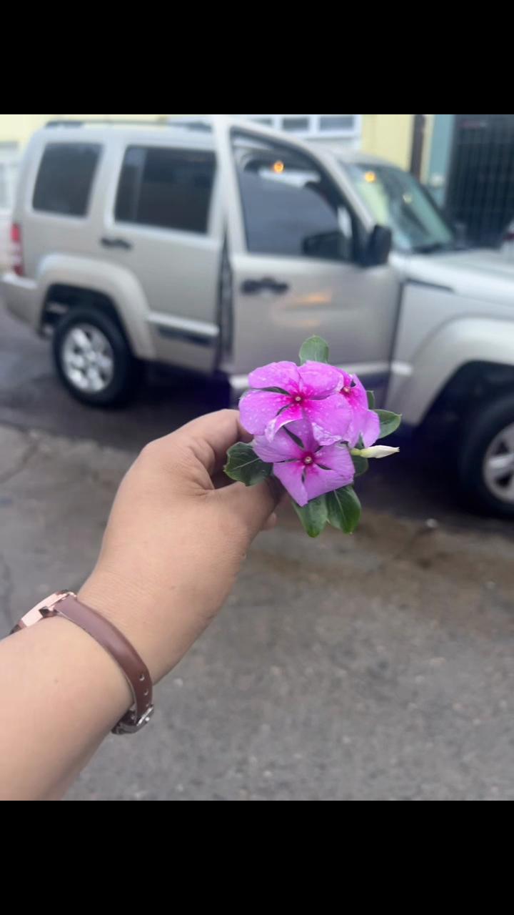 @Neyra Ch&aacute;vez