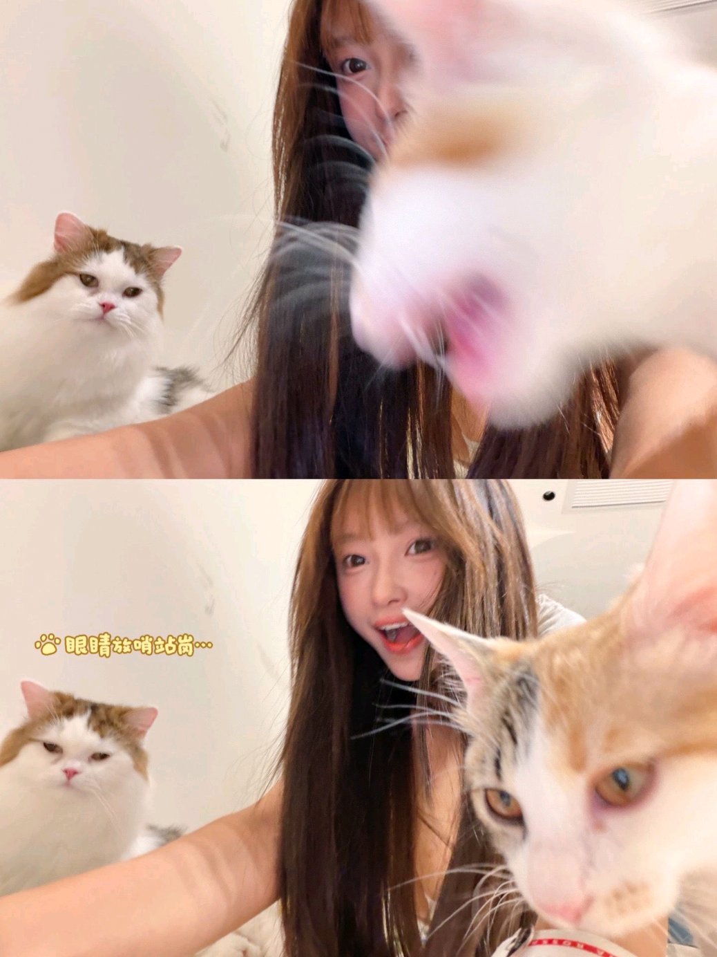 @🍁 王涵 🍁