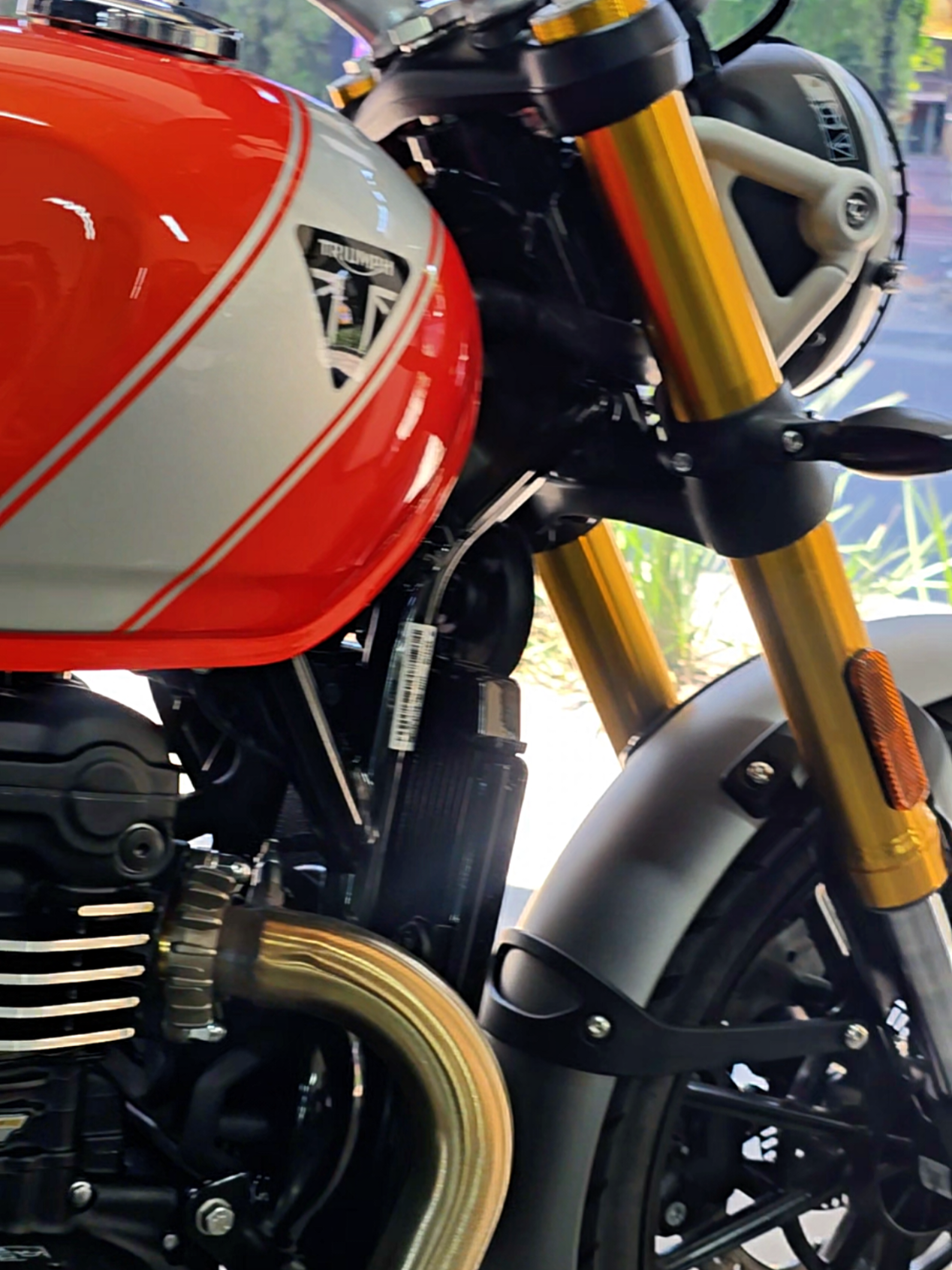 @♡ Moontse Strempler 🏍
