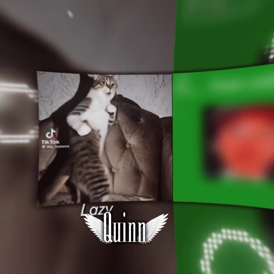 @Quinn (account got banned lol)