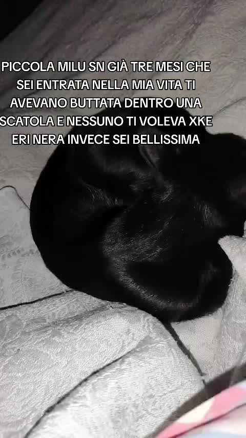 @💙L💙O💙R💙Y.💙A.💙N💙