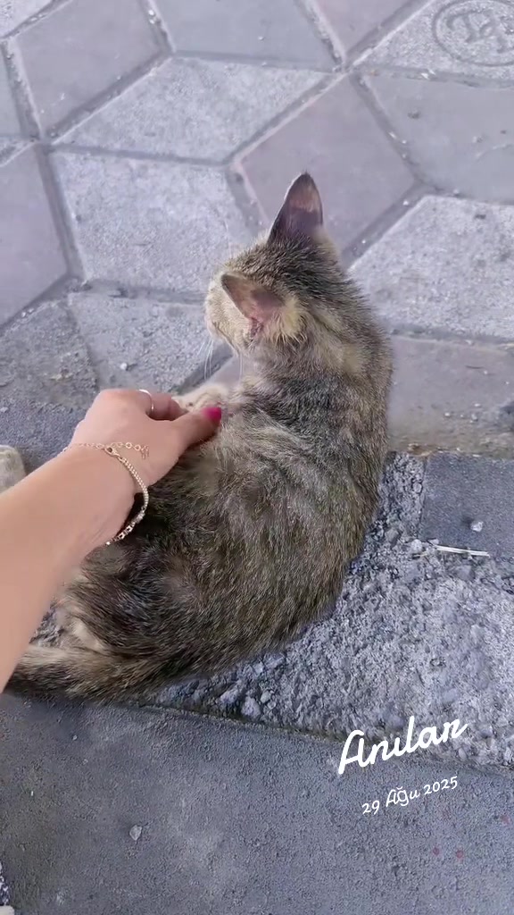 @Tezbaşaran