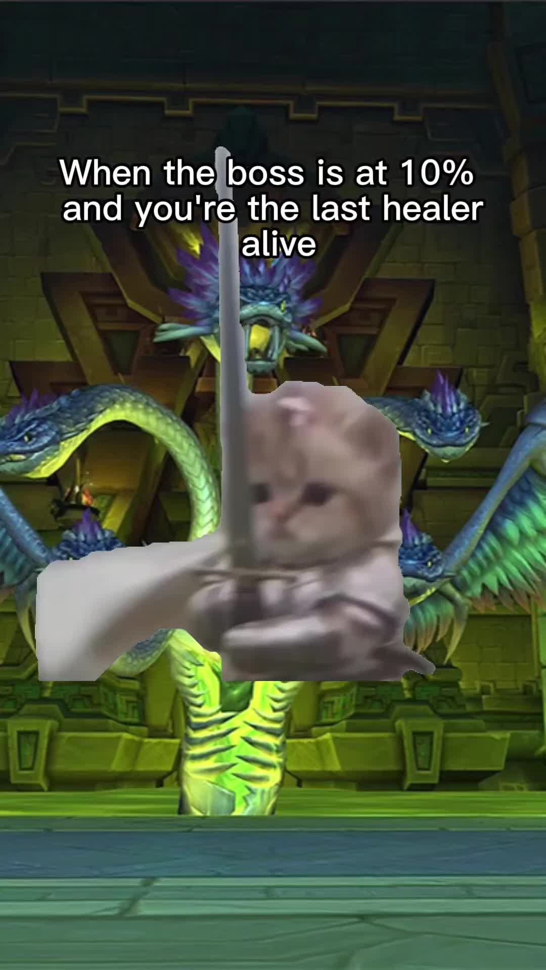 @Veelia in Azeroth