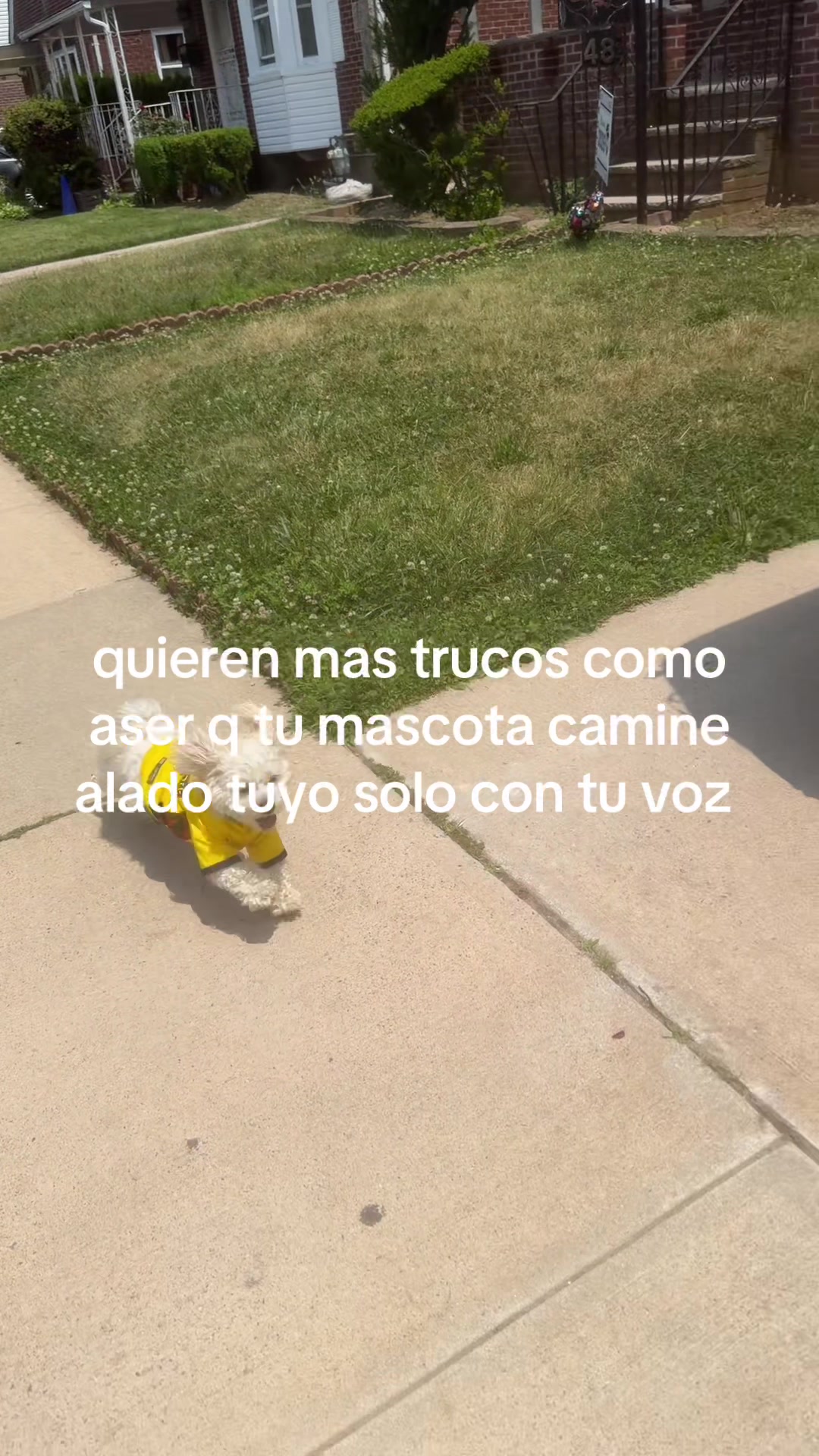 @El Byron