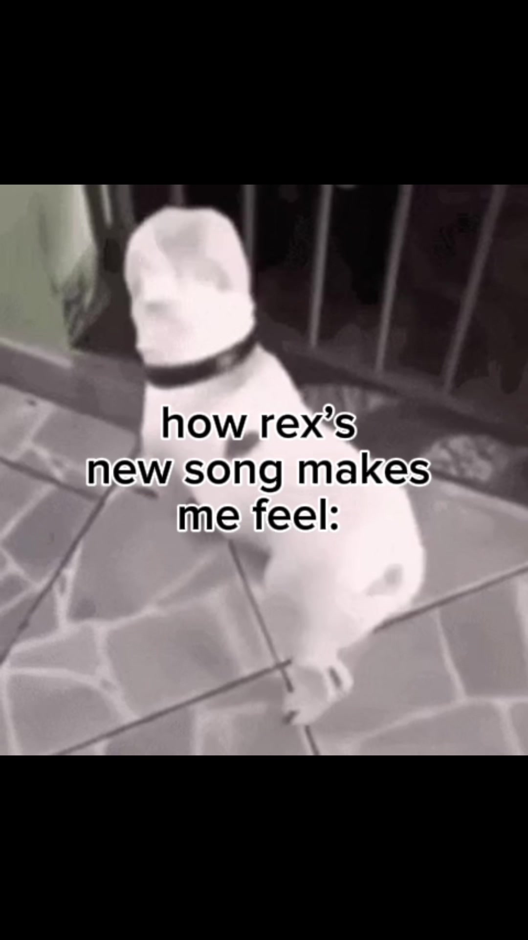 @maddie