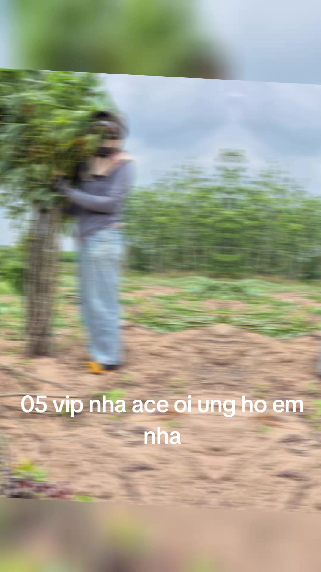 @Kim V&acirc;n🤣❤️🥰