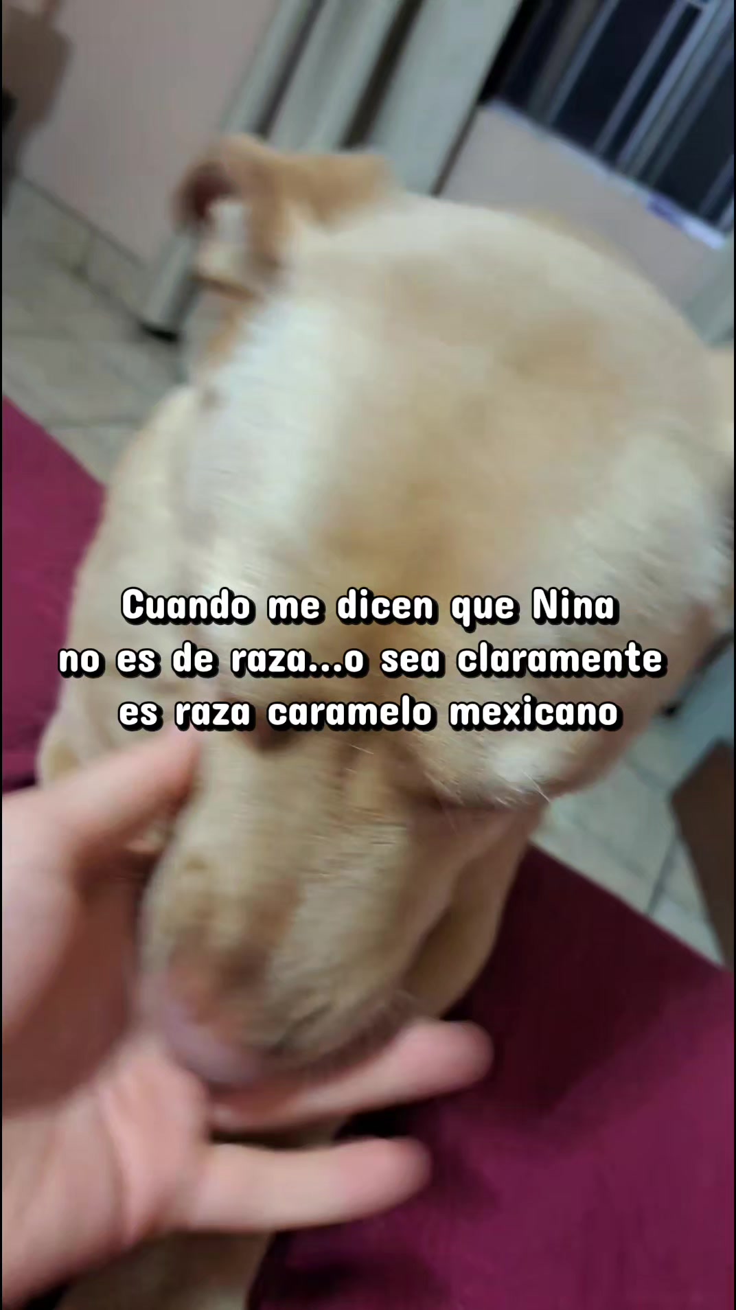 @Victoria Chacón