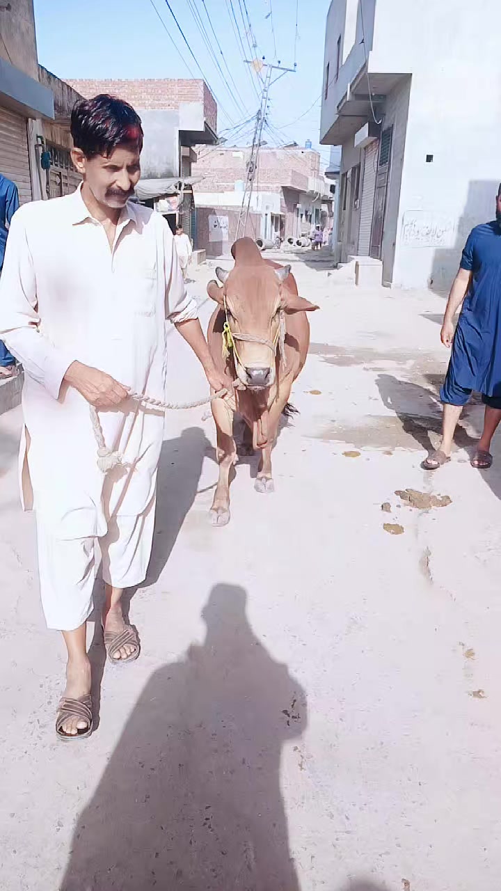 @🤬Imran Baloch ✌️