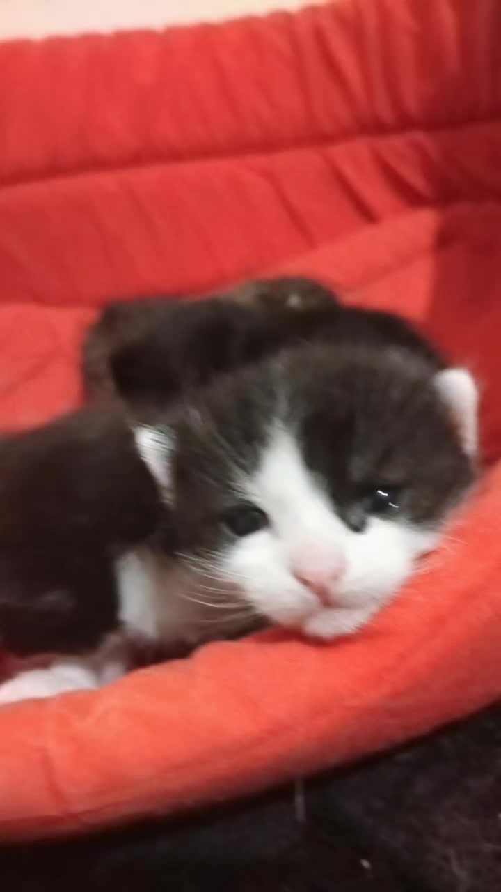 @Mavi Tektaş