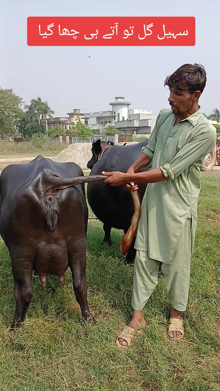 @Farming and Business Ideas