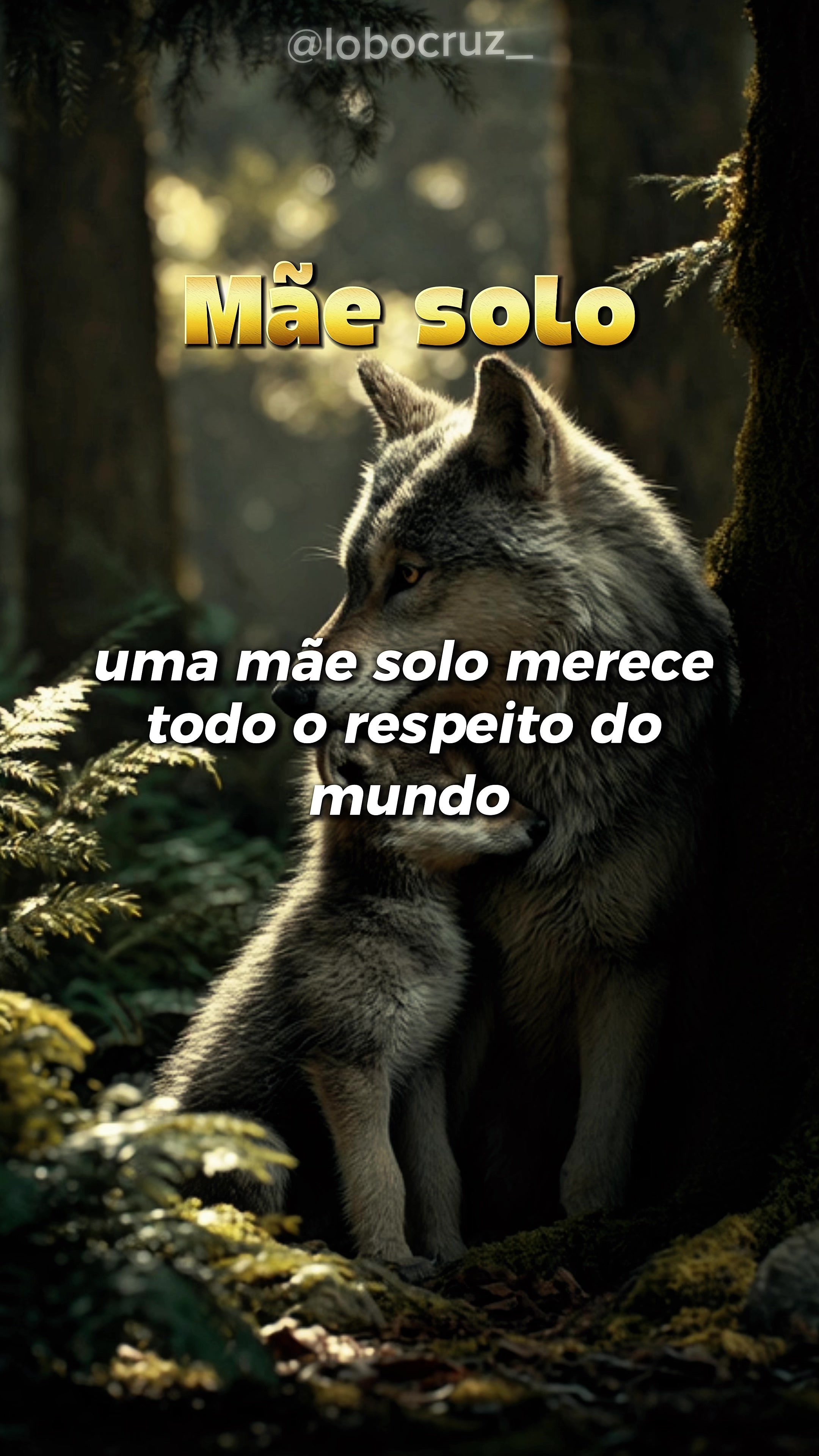 @Lobo Cruz
