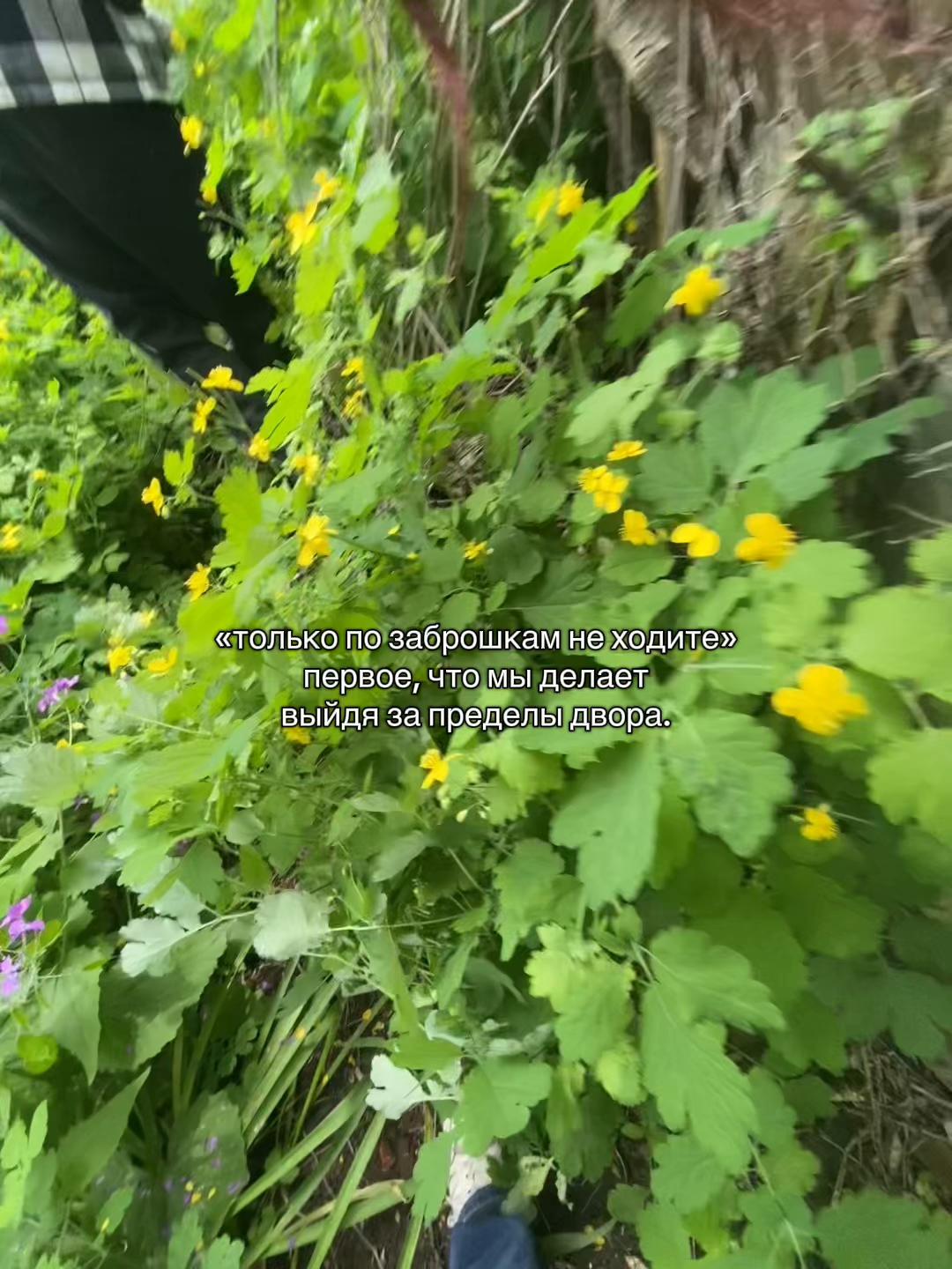 @𝓇𝒾𝓃𝓍🪽