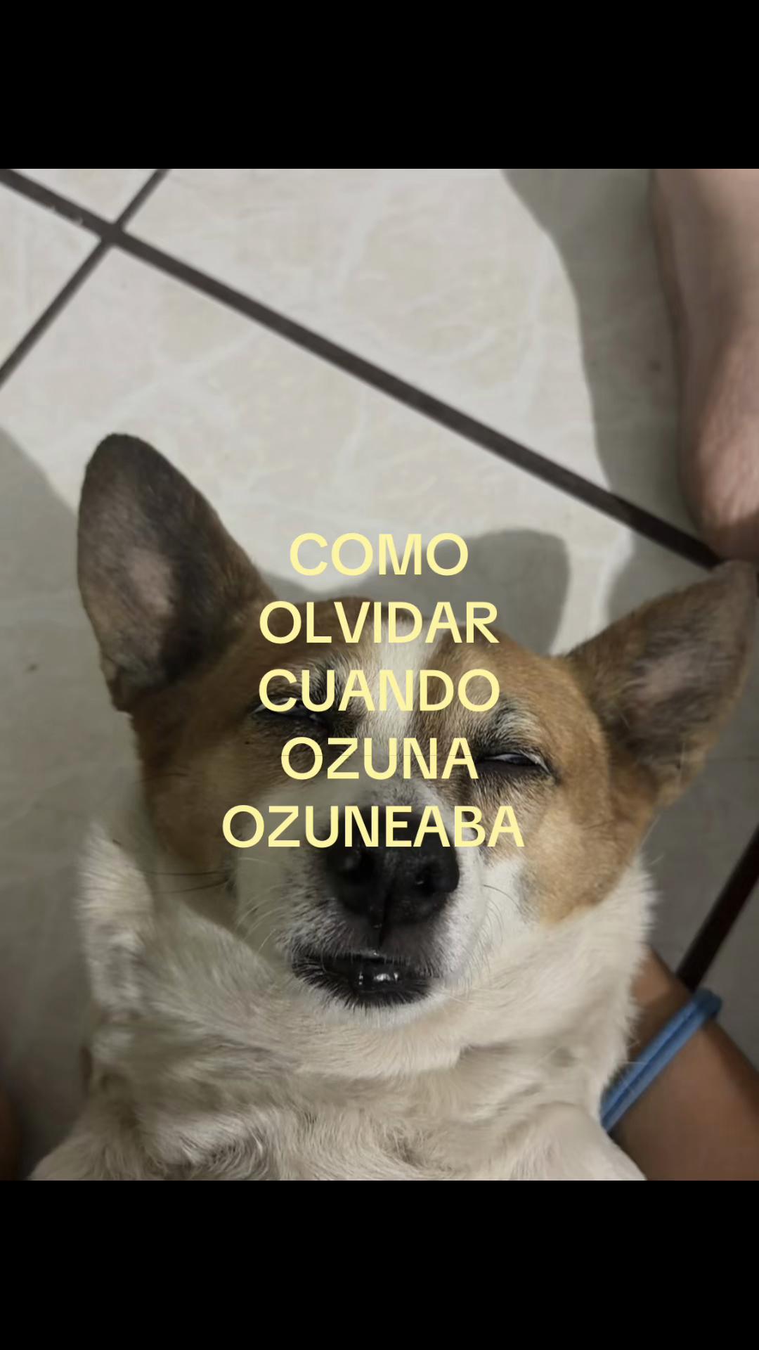 @Keysita