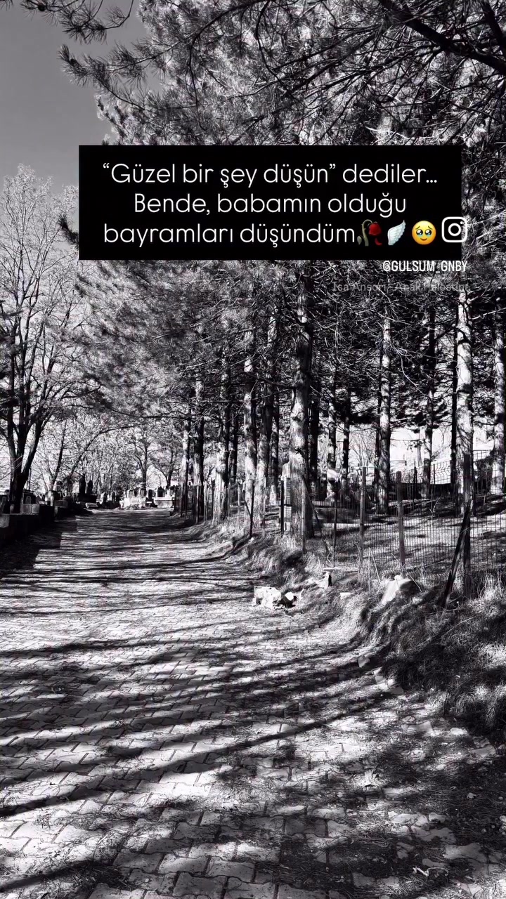 @Hayaldik_ikimiz