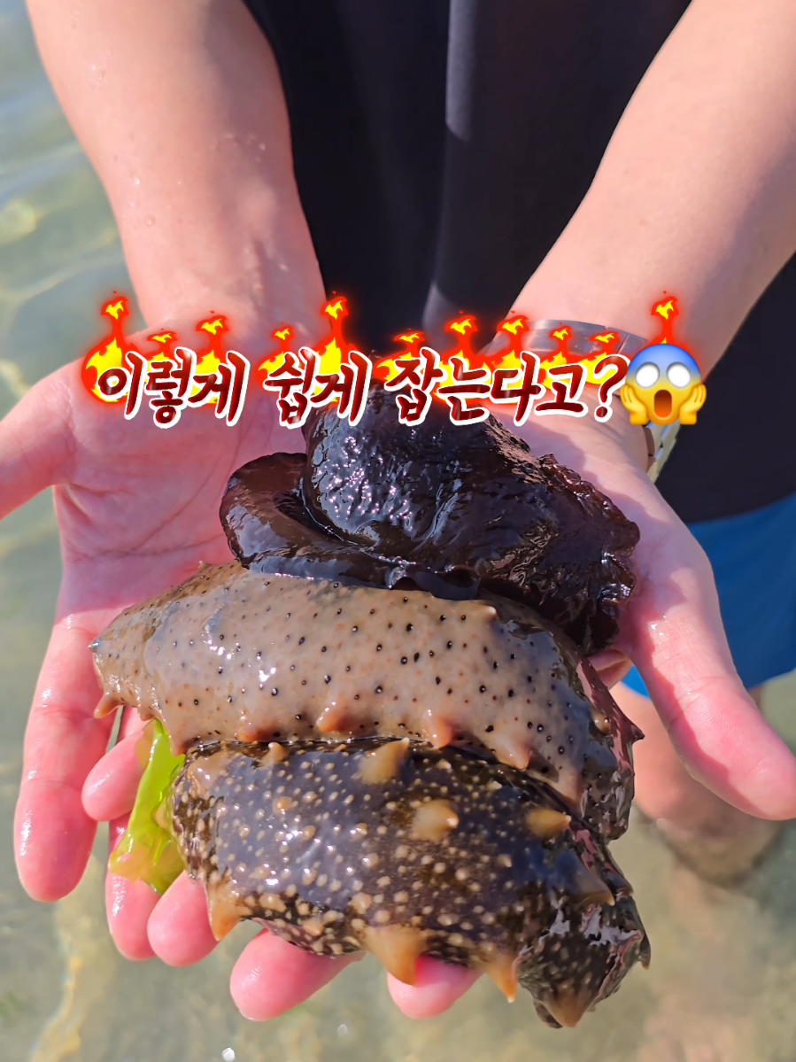 @캠퍼준영