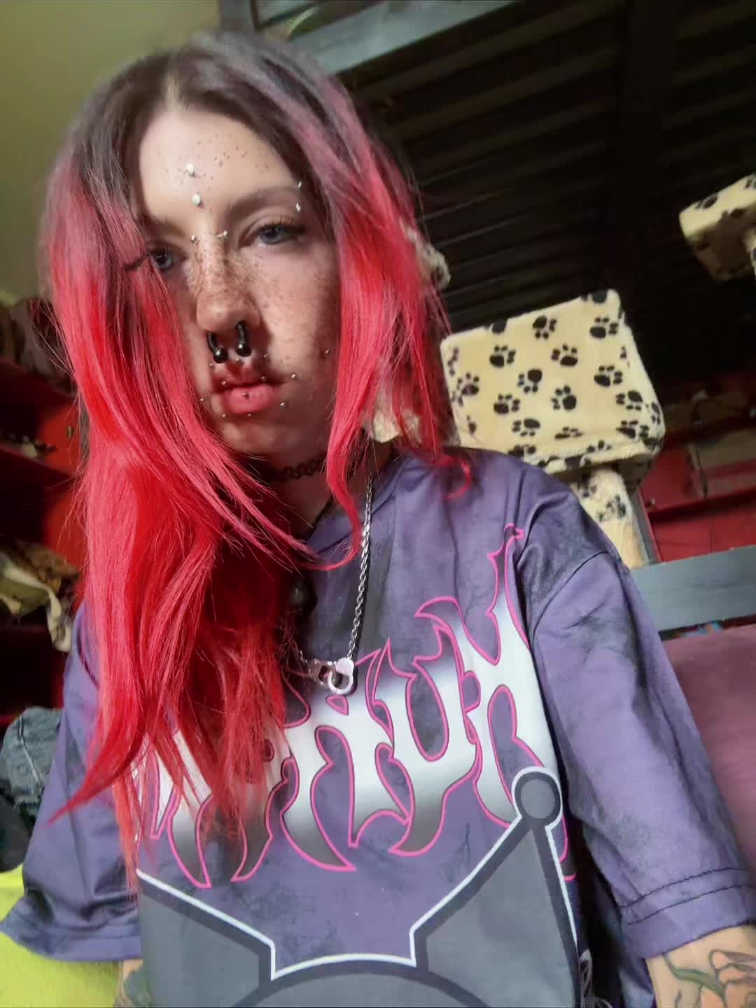 @🔪 distortionsystem