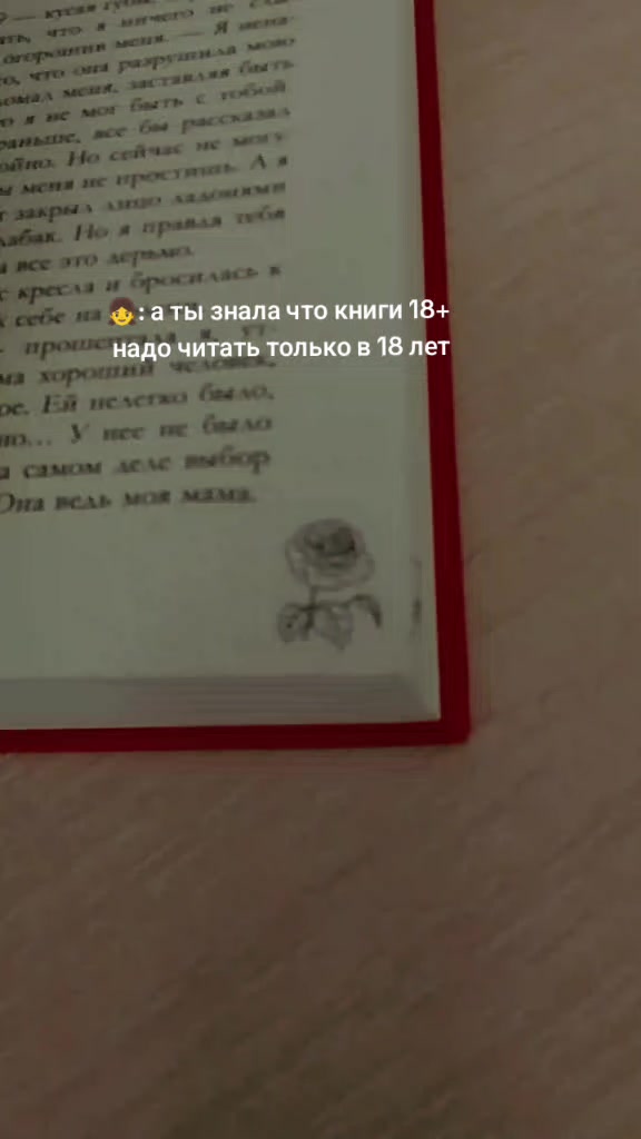 @книжный лисёнок