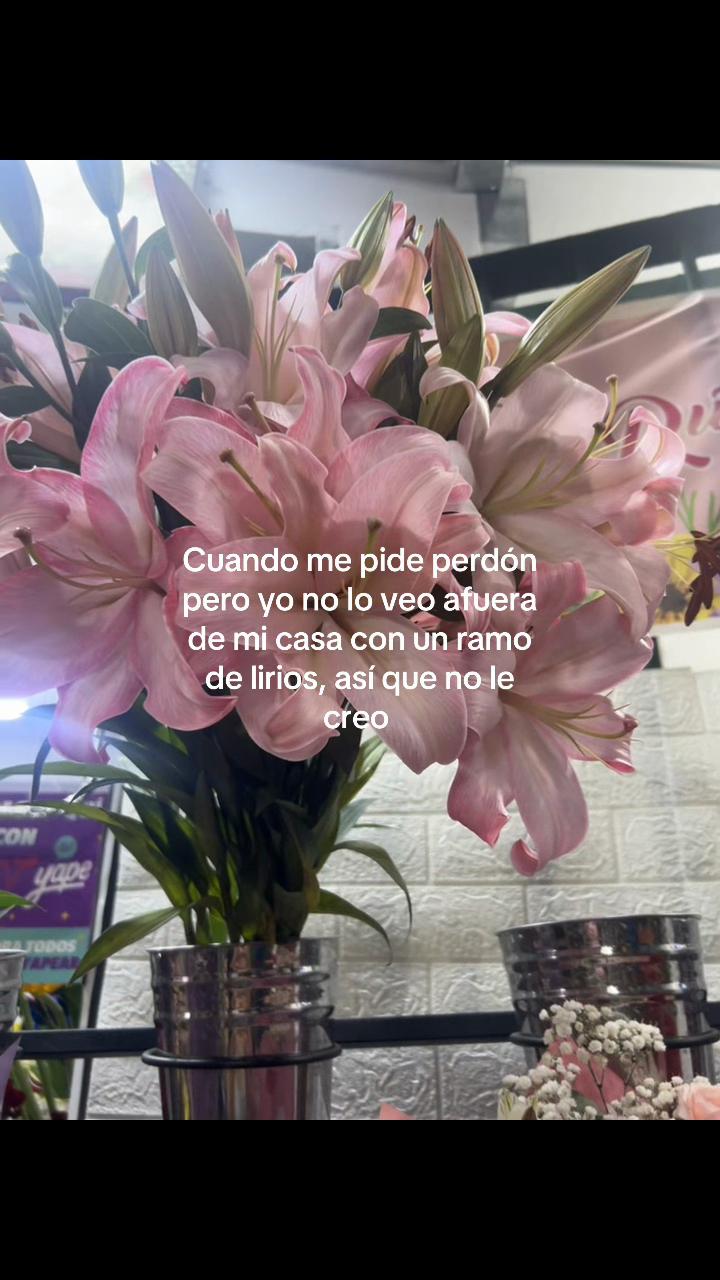 @adrimiu