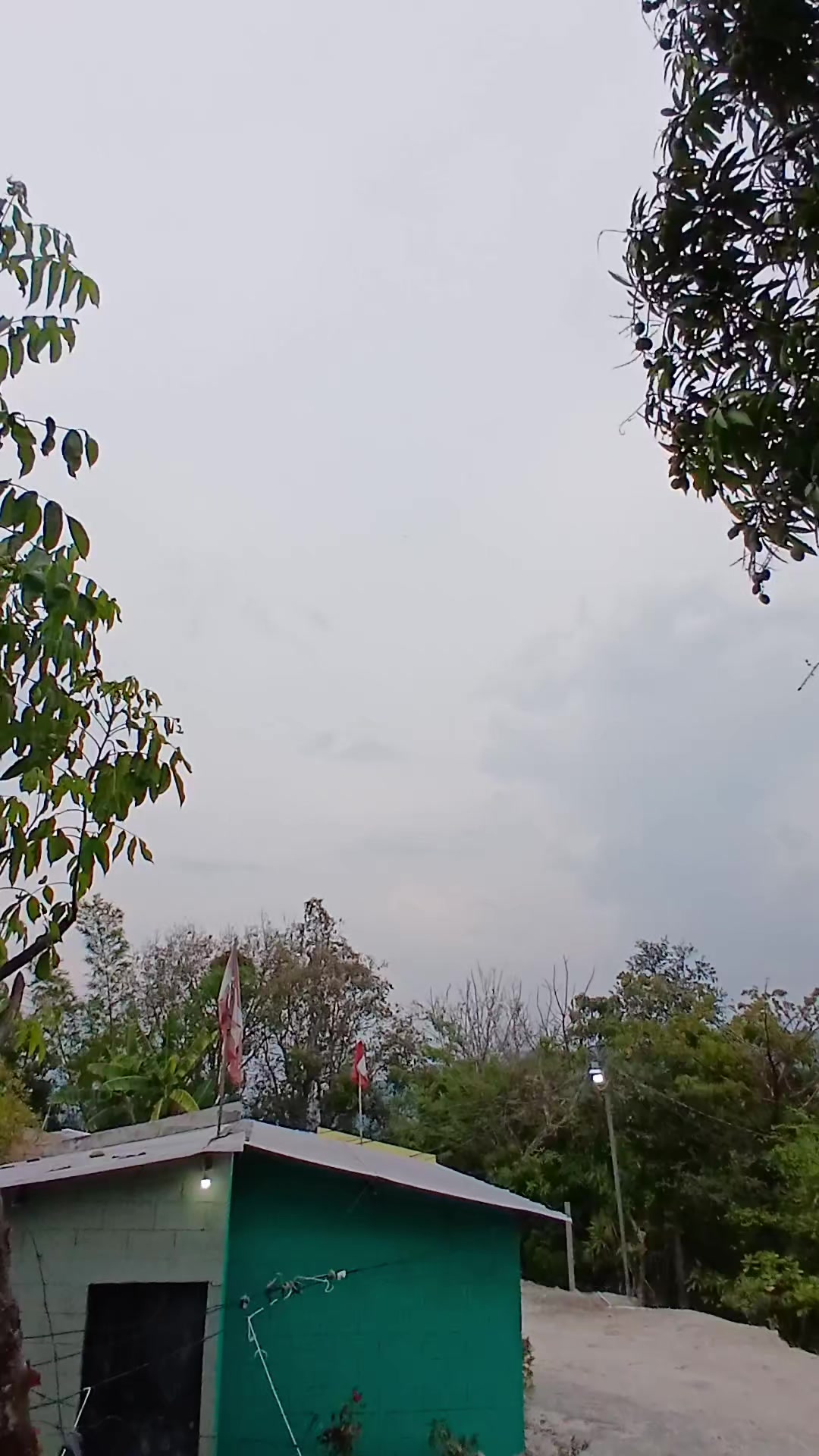 @Mauricio vargas