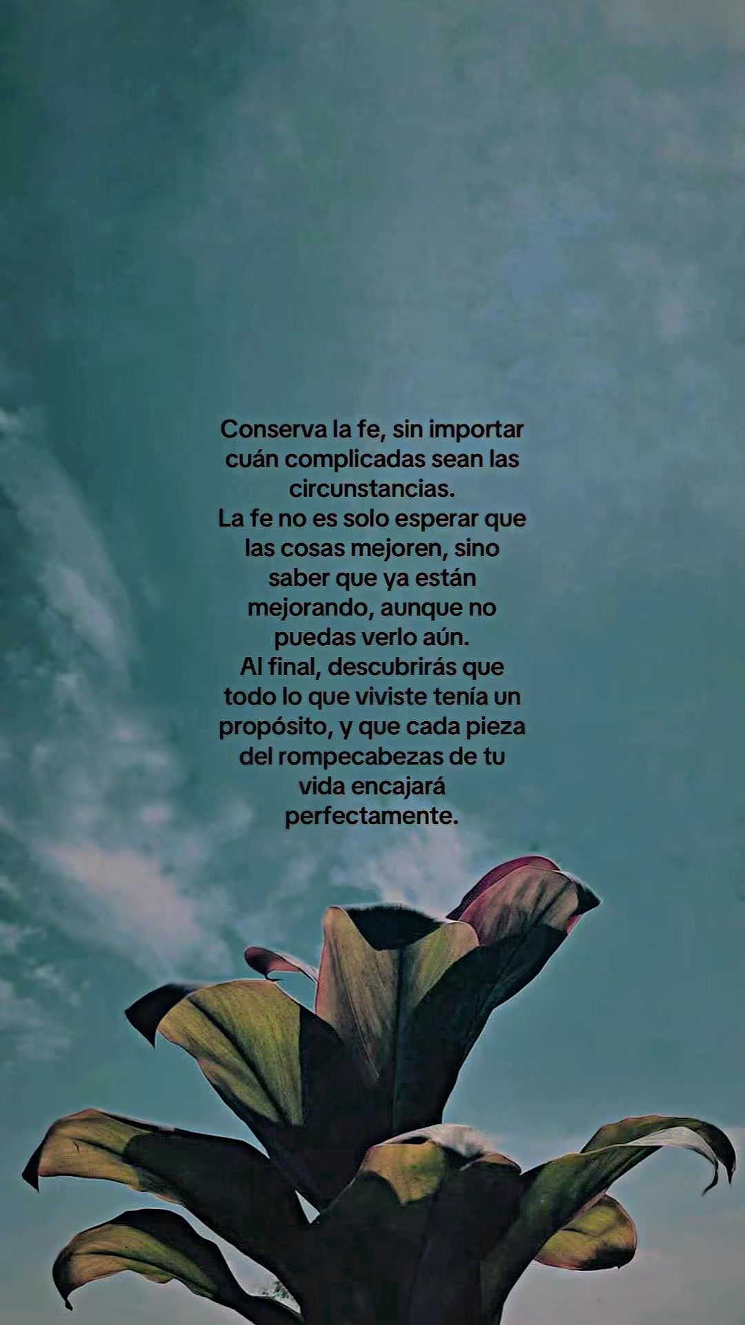 @CandePascual&hearts;️