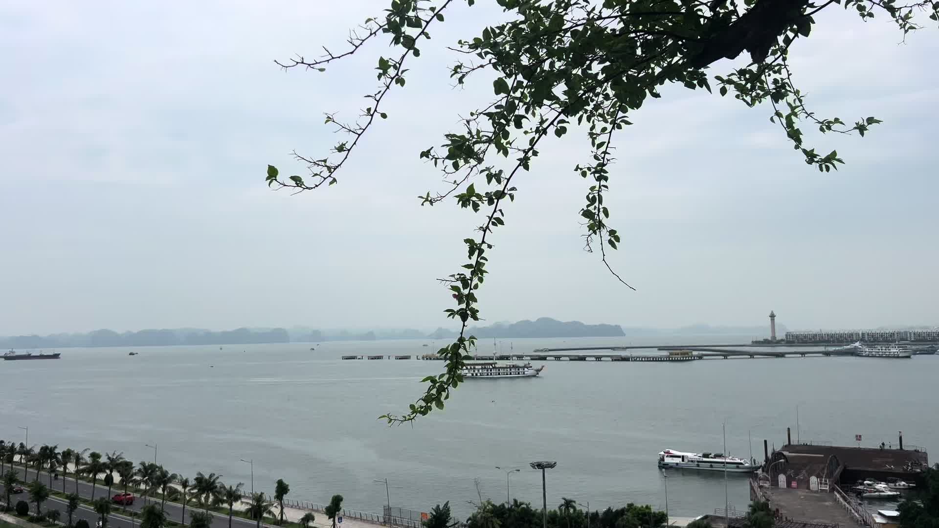 @Anh Nghĩa ⚜️
