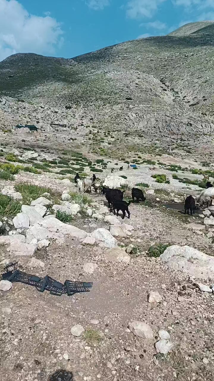 @Nazif Geriş