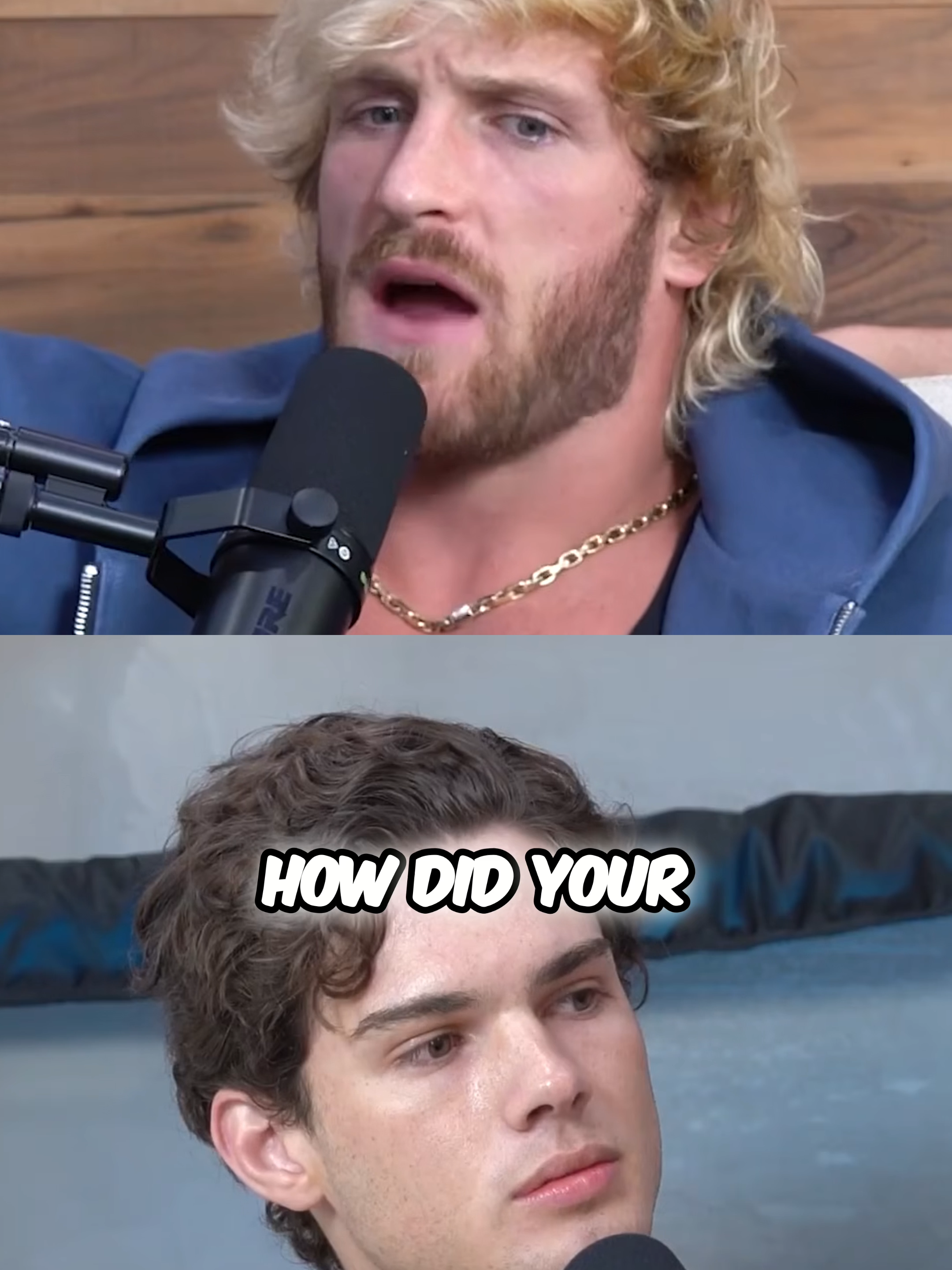 @thejestervault
