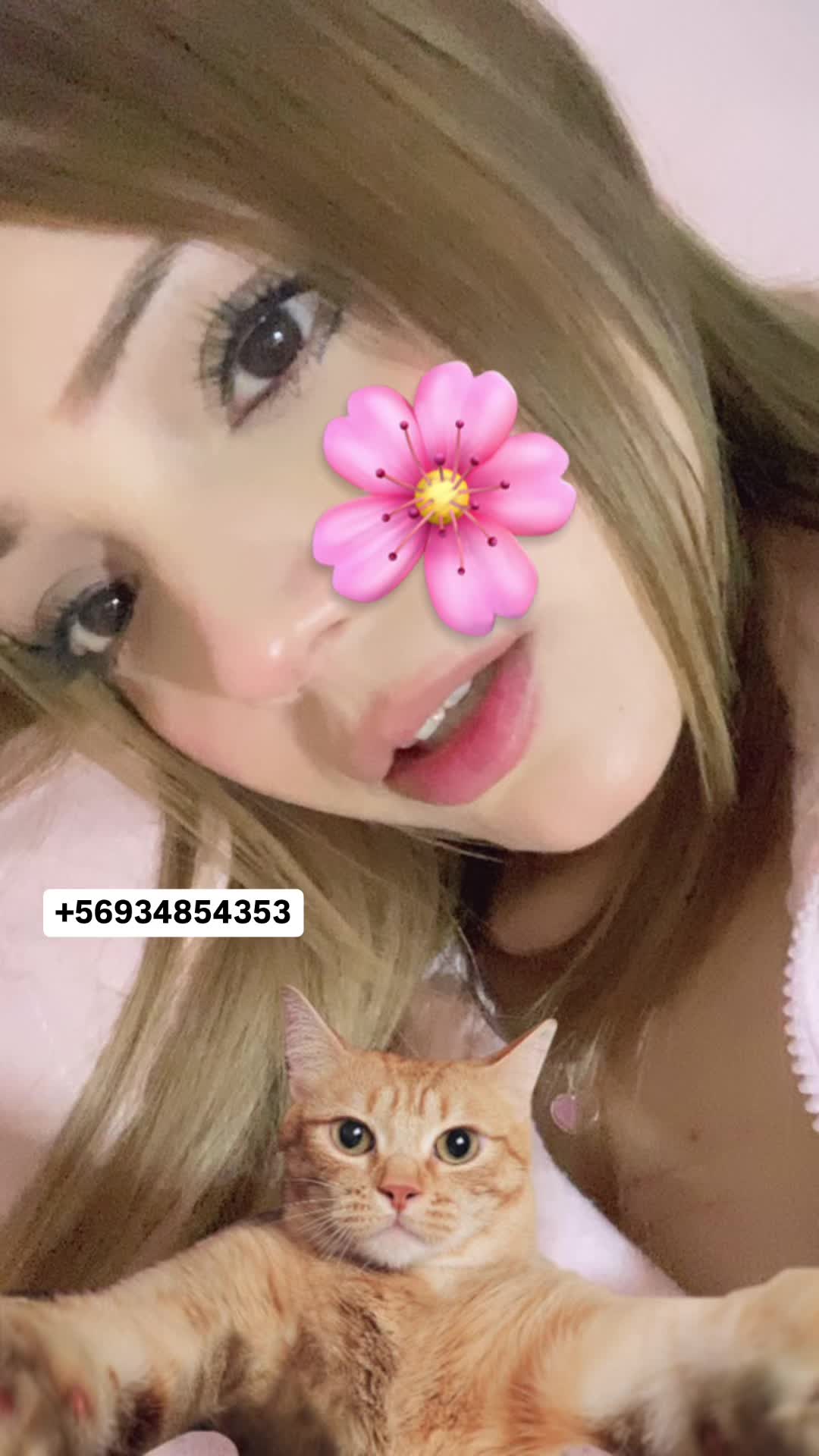 @damarynoemi𐙚