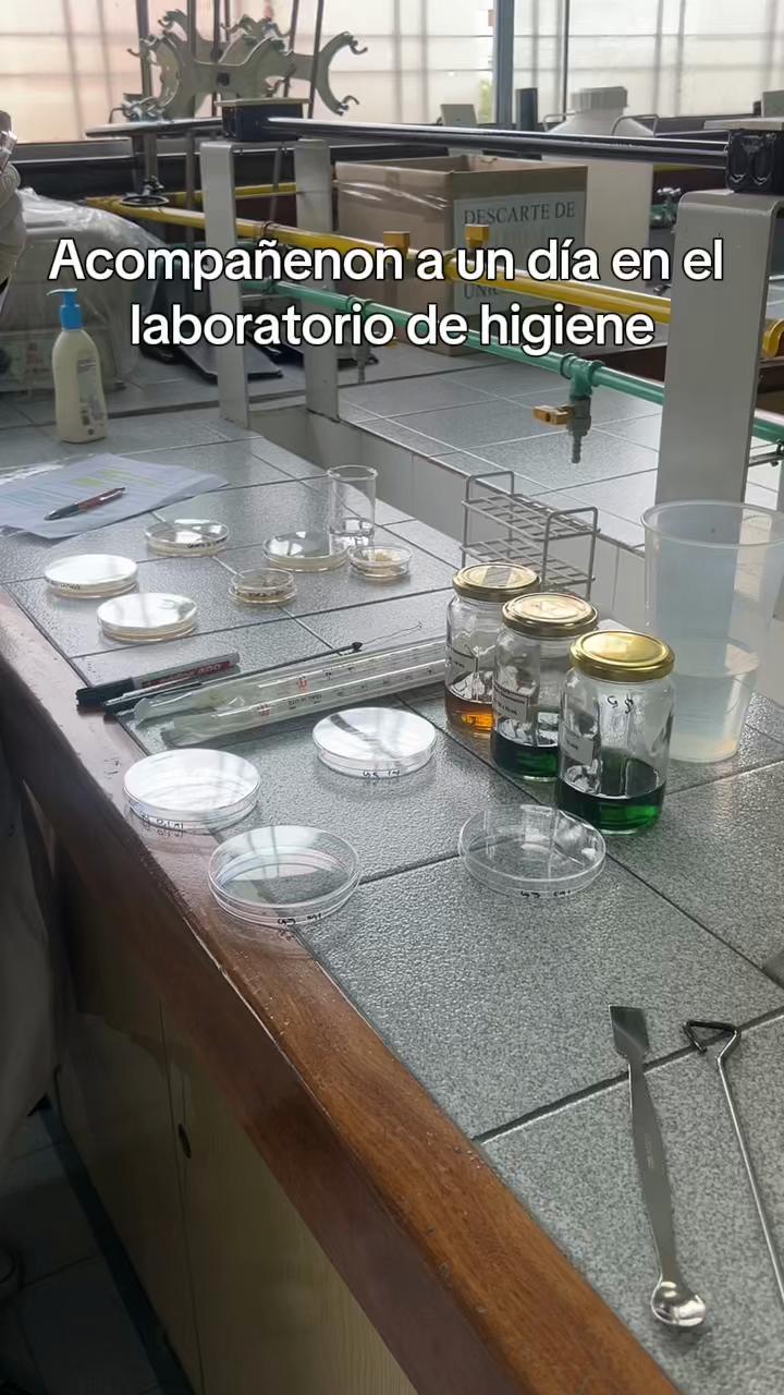 @renamoreno_