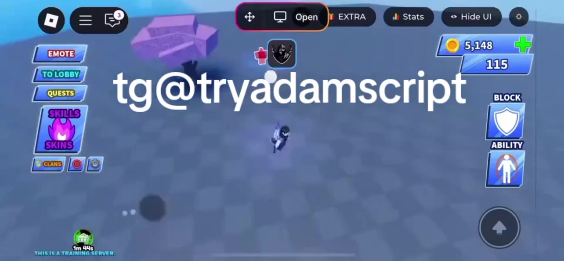 @try_adam_script
