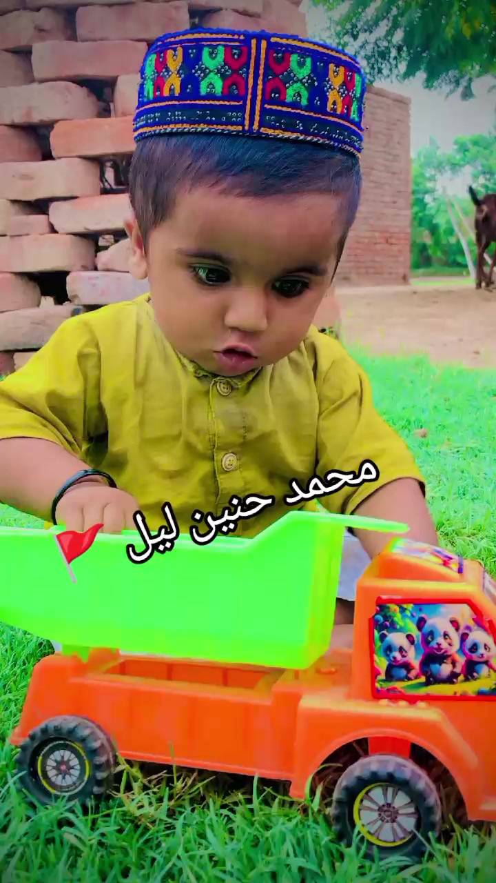 @sarfrazlailsb