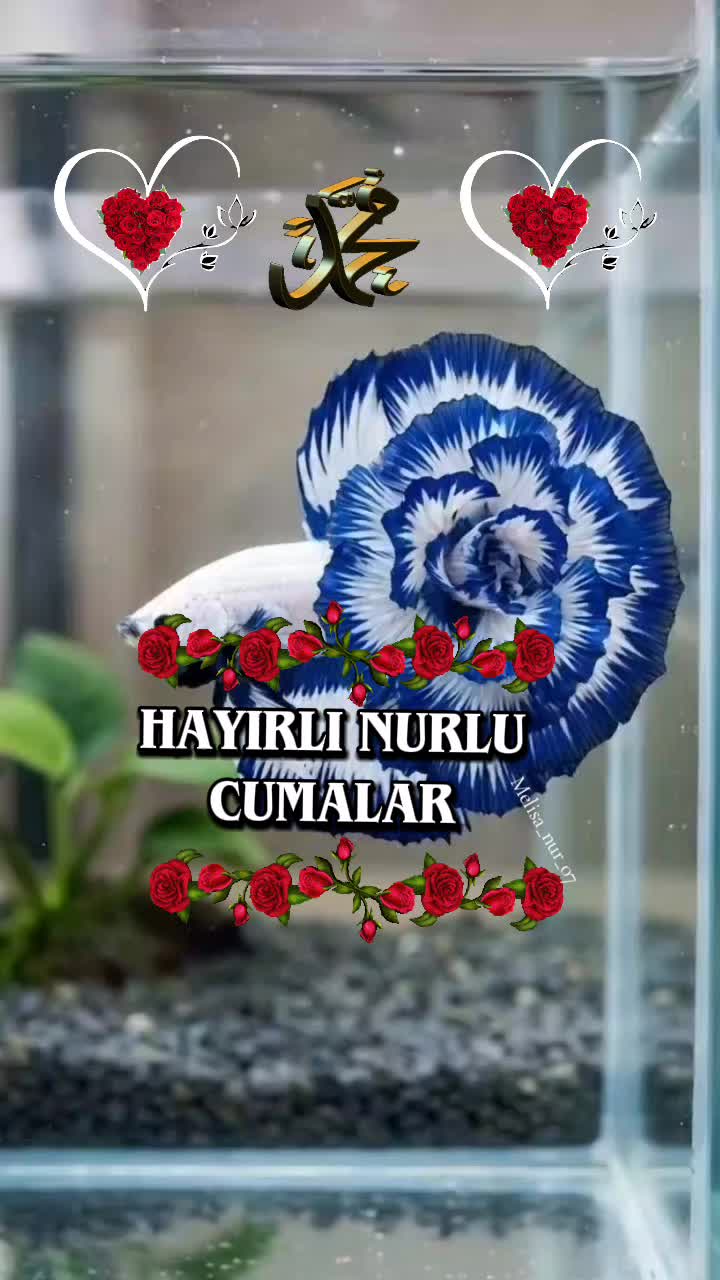 @♡★᭄ꦿ᭄ EZ   ᭄ꦿ᭄:♡MELİSA★᭄ꦿ᭄ ♡