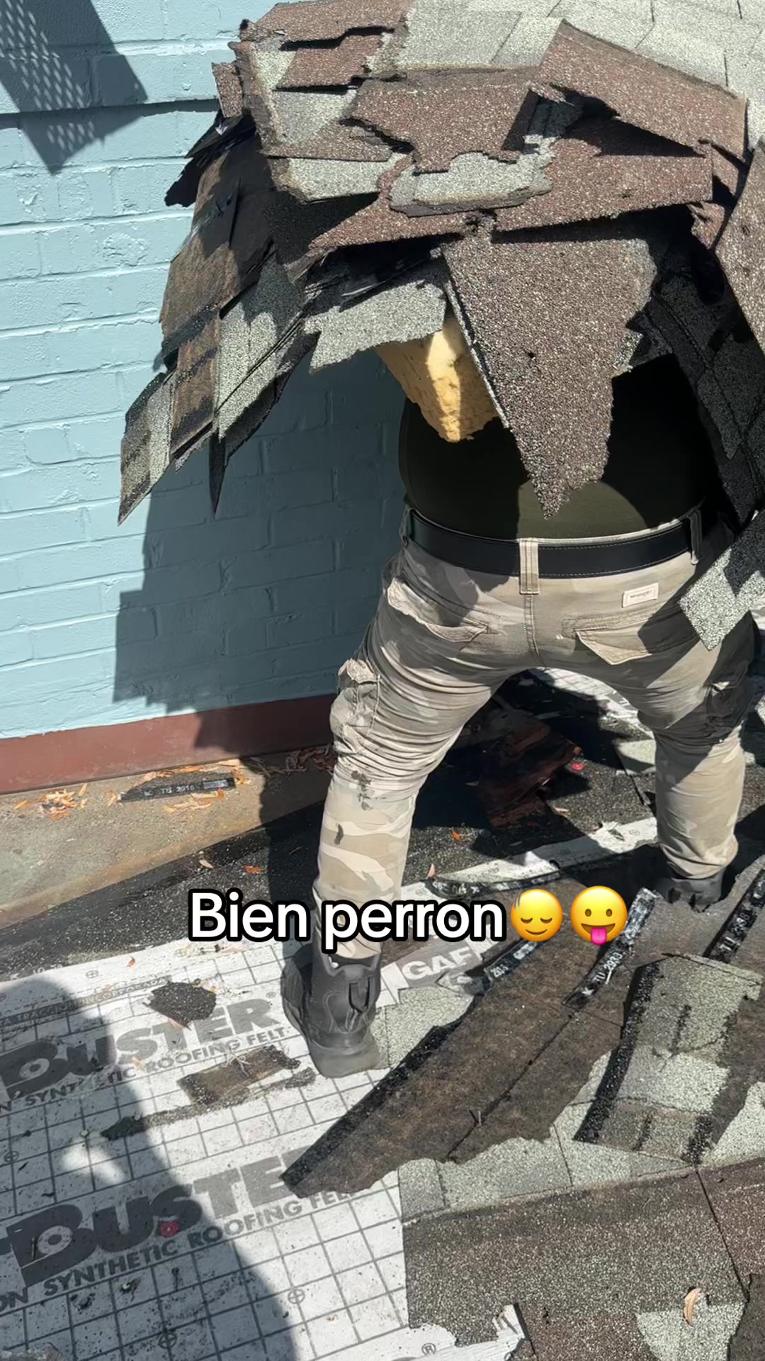 @alex_montejo05