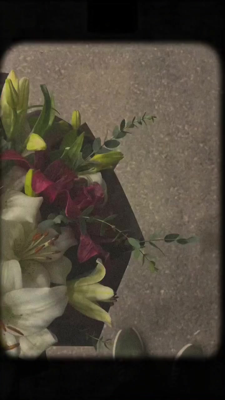 @𝑨ѕ𝐚𝐝📸║اسد